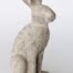 Large grey sitting hare