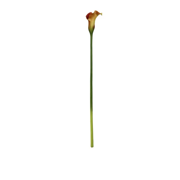 calla lily spray coral