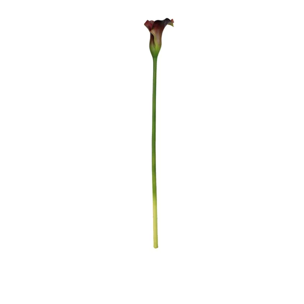 calla lily spray fuschia