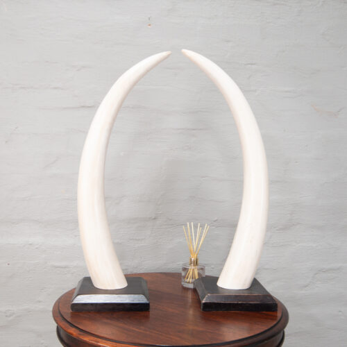 Pair of resin tusks